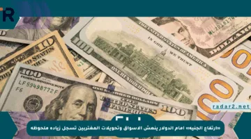 «ارتفاع الجنيه» أمام الدولار ينعش الأسواق وتحويلات المغتربين تسجل زيادة ملحوظة